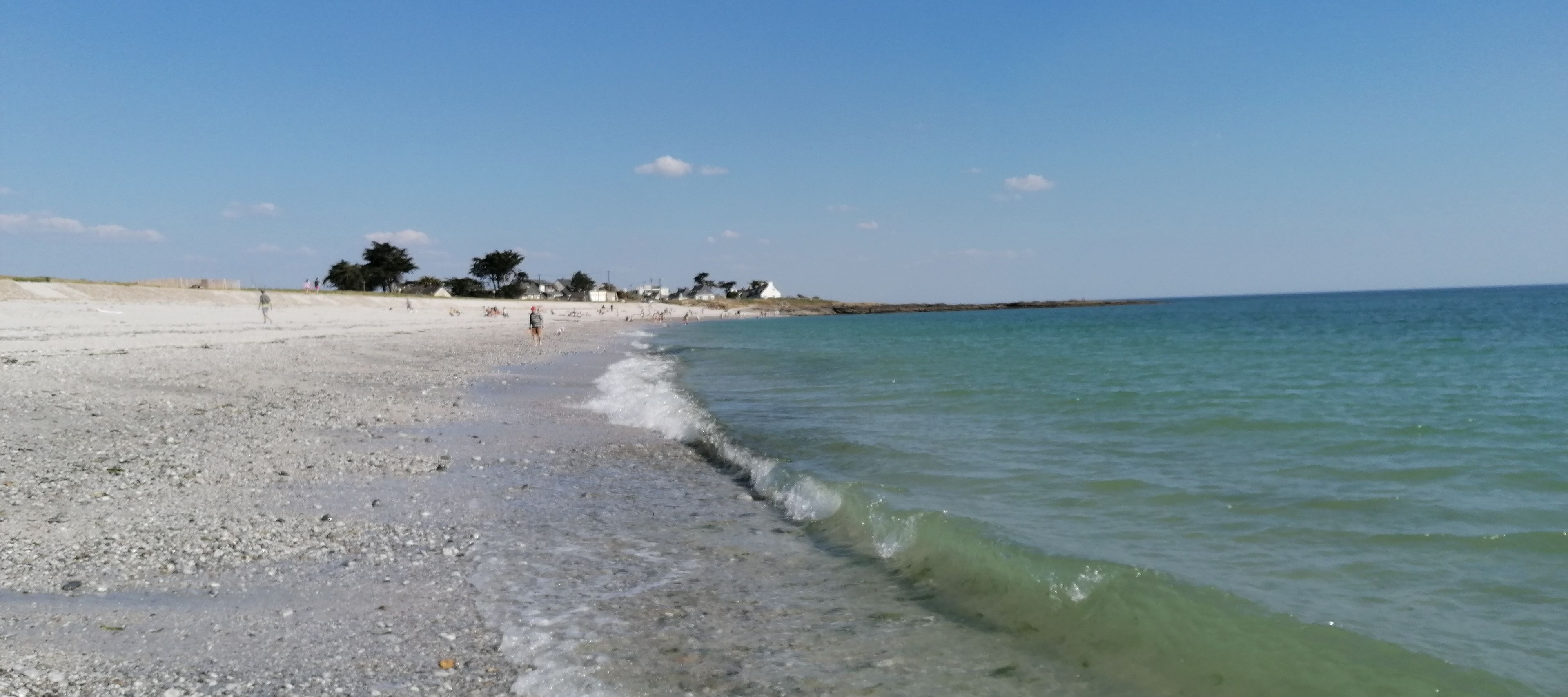 A beach with clear water, pebbles, and distant trees.