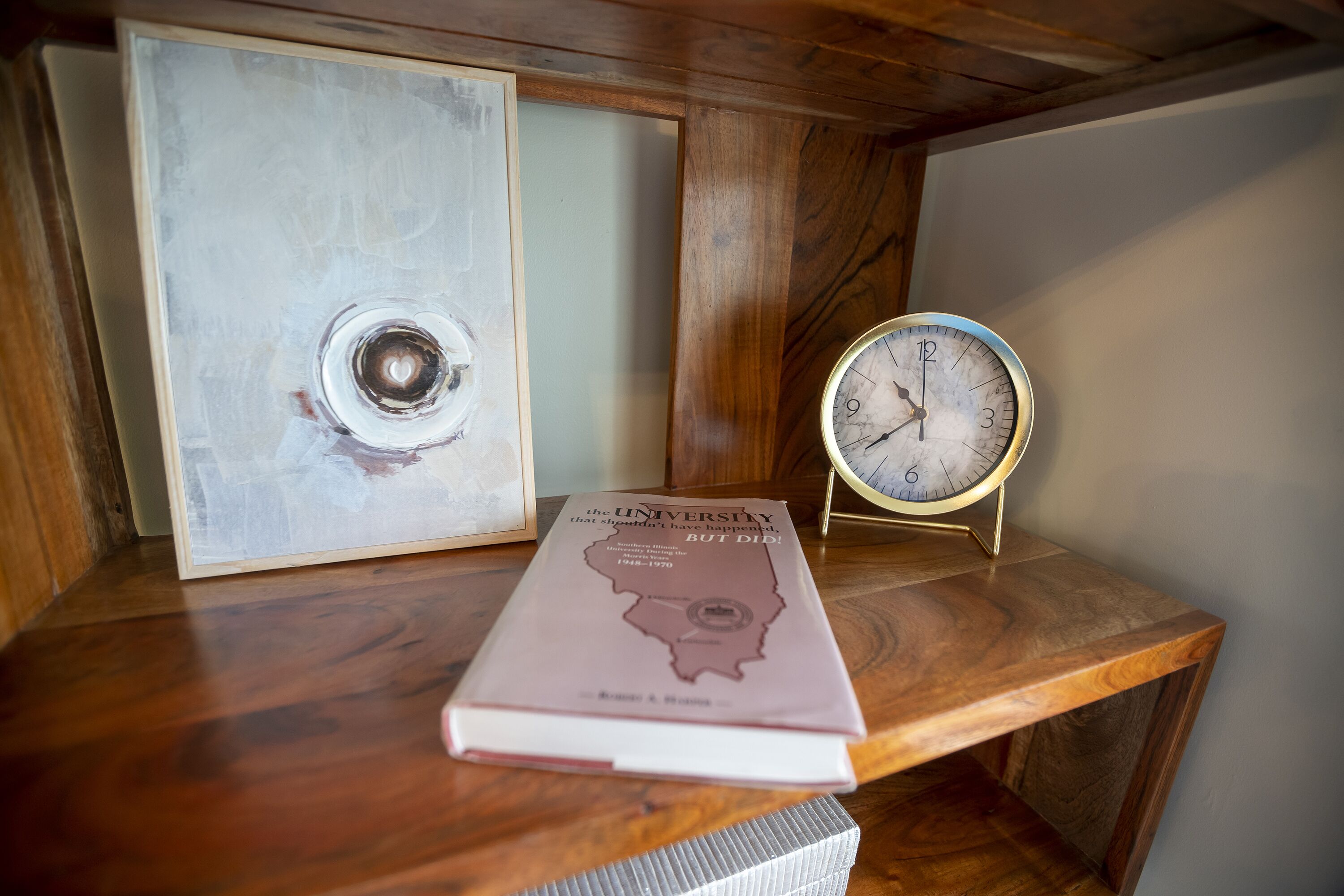 A book titled "The University That Should Have Happened" on a wooden shelf, next to a framed abstract painting and a clock.
