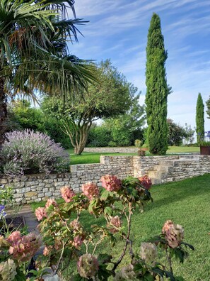 A landscaped garden with a stone wall, various shrubs, and a tall coniferous tree. - Studio*** for 2 people with a heated pool, located between the Loire Valley castles and Futuroscope (Rilly-sur-Vienne)