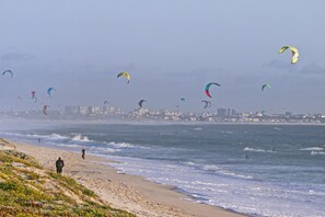 A beach with people and kites.