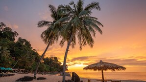 Escena de playa con una palmera, una sombrilla de paja y sillas de madera.