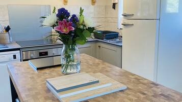 Fridge, oven, stovetop, dishwasher