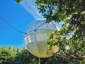 Photo non classée, 5 sur 12, bouton