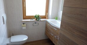 Dusche, Handtücher, Toilettenpapier