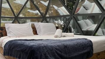 1 habitación