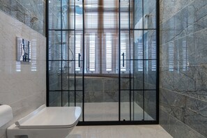 Douche, douche hydromassante, articles de toilette gratuits
