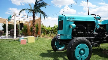 Un tractor antiguo estacionado sobre césped, con cielo despejado y palmeras al fondo.