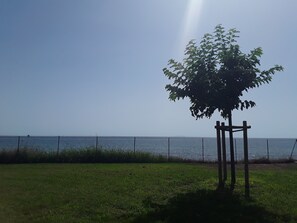 A tree in a grassy area with a fence and a body of water in the background. - Studio les pieds dans, santa lucia (Santa-Lucia-di-Moriani)