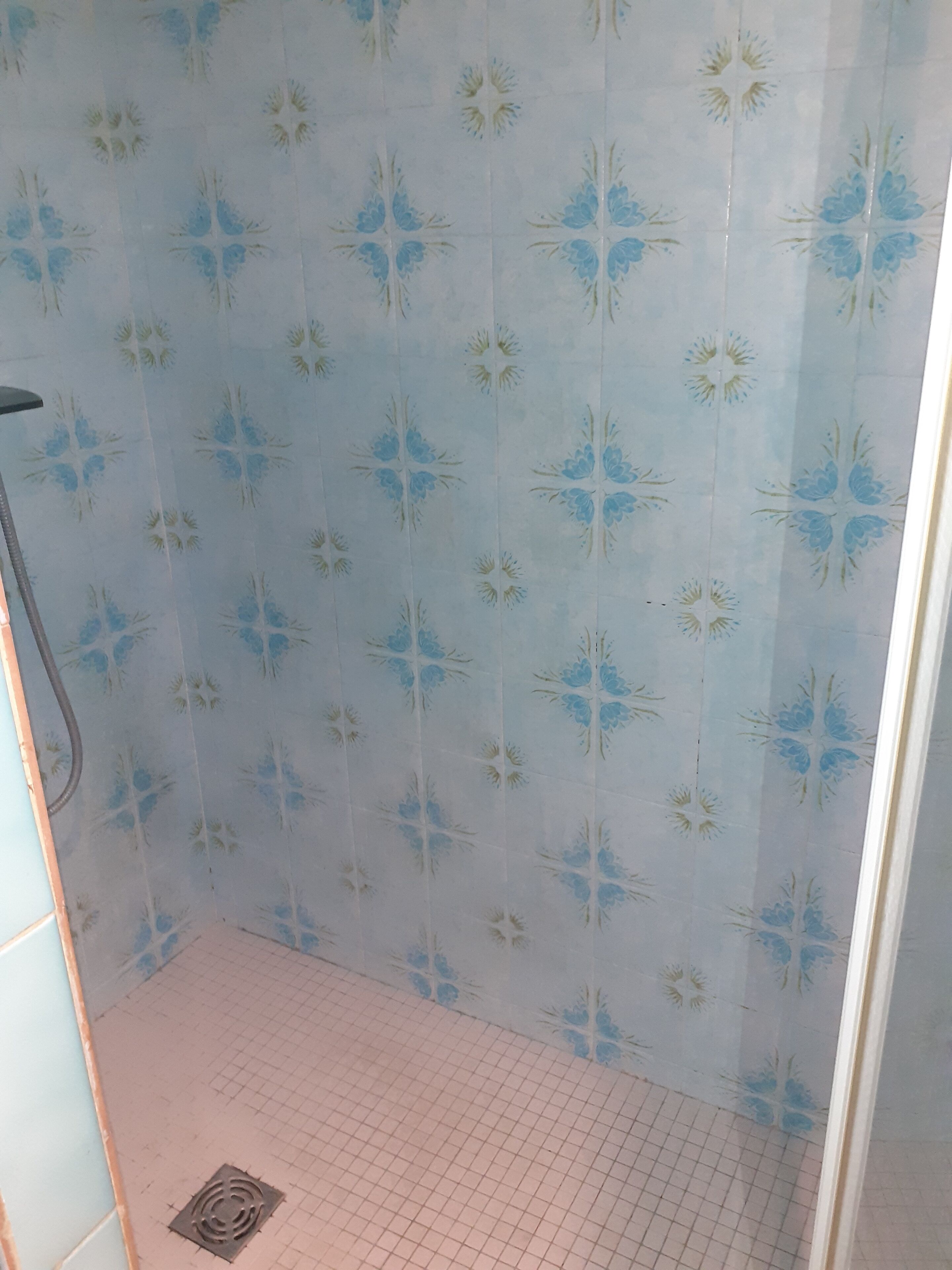 A bathroom with a shower area, tiled walls with a floral pattern, and a grid floor.