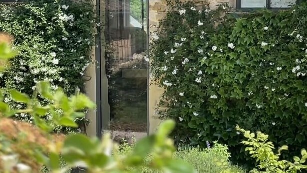 Un jardín con muro de piedra, puerta de cristal y diversas plantas.