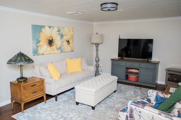 Smart TV, fireplace, books