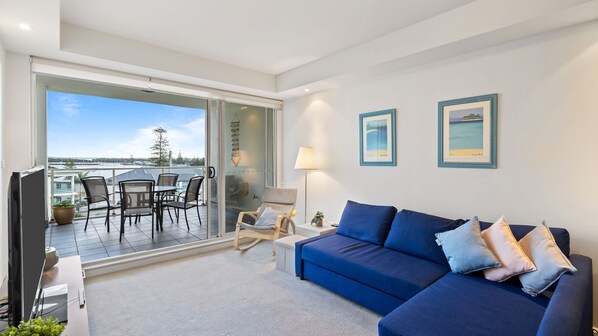 Smart TV, DVD player, computer monitors