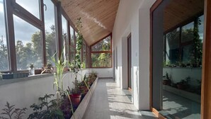 Passadís cobert amb plantes en testos, grans finestres i sostre de fusta.