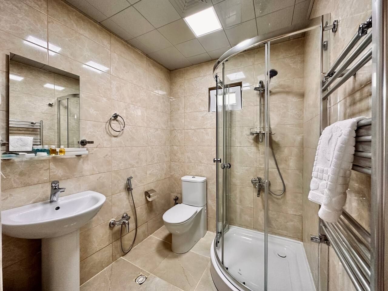 A modern bathroom with a glass-enclosed shower, a sink, and a toilet.