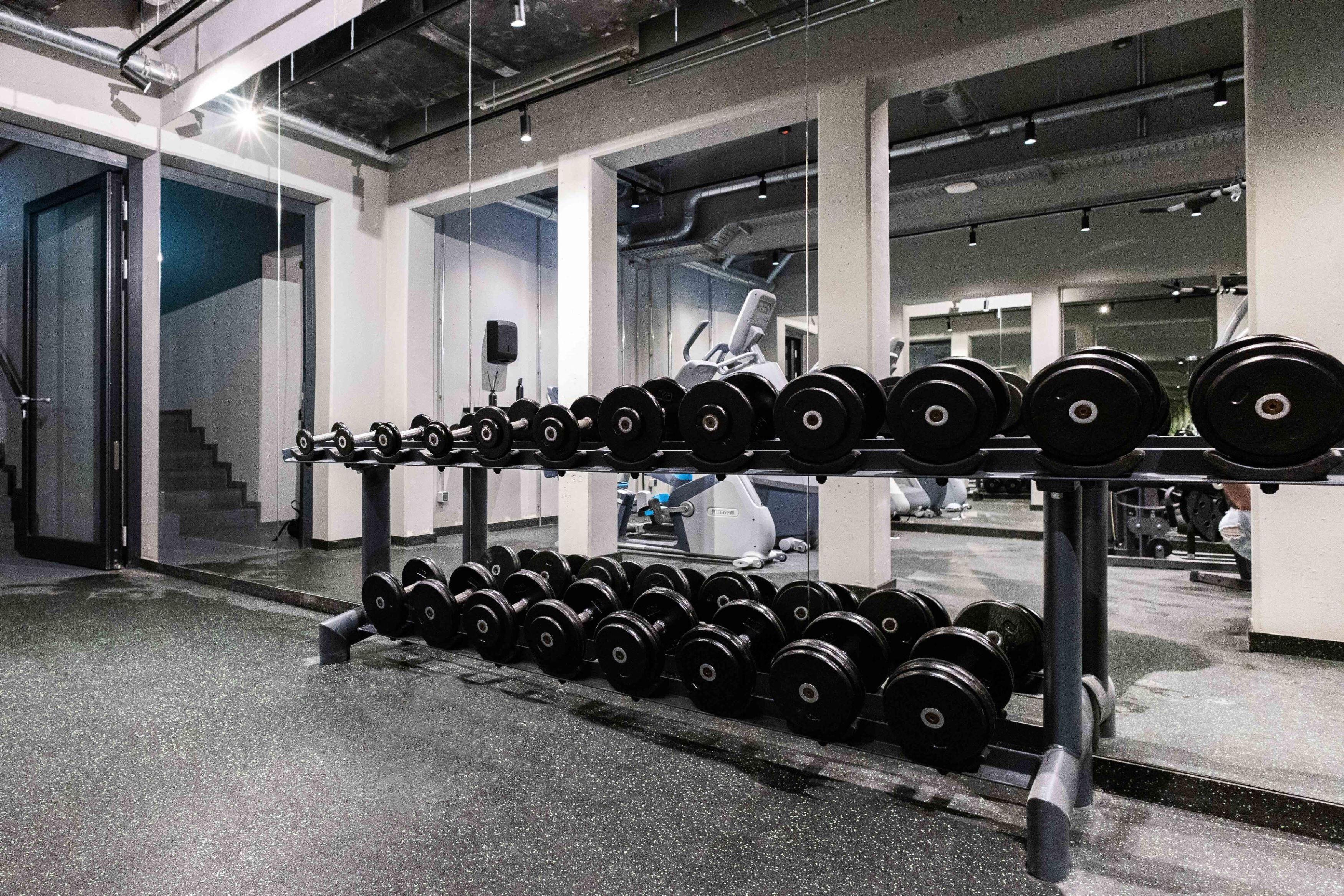 Une salle de sport dotée d’un espace dédié à la musculation, avec plusieurs rangées de haltères.