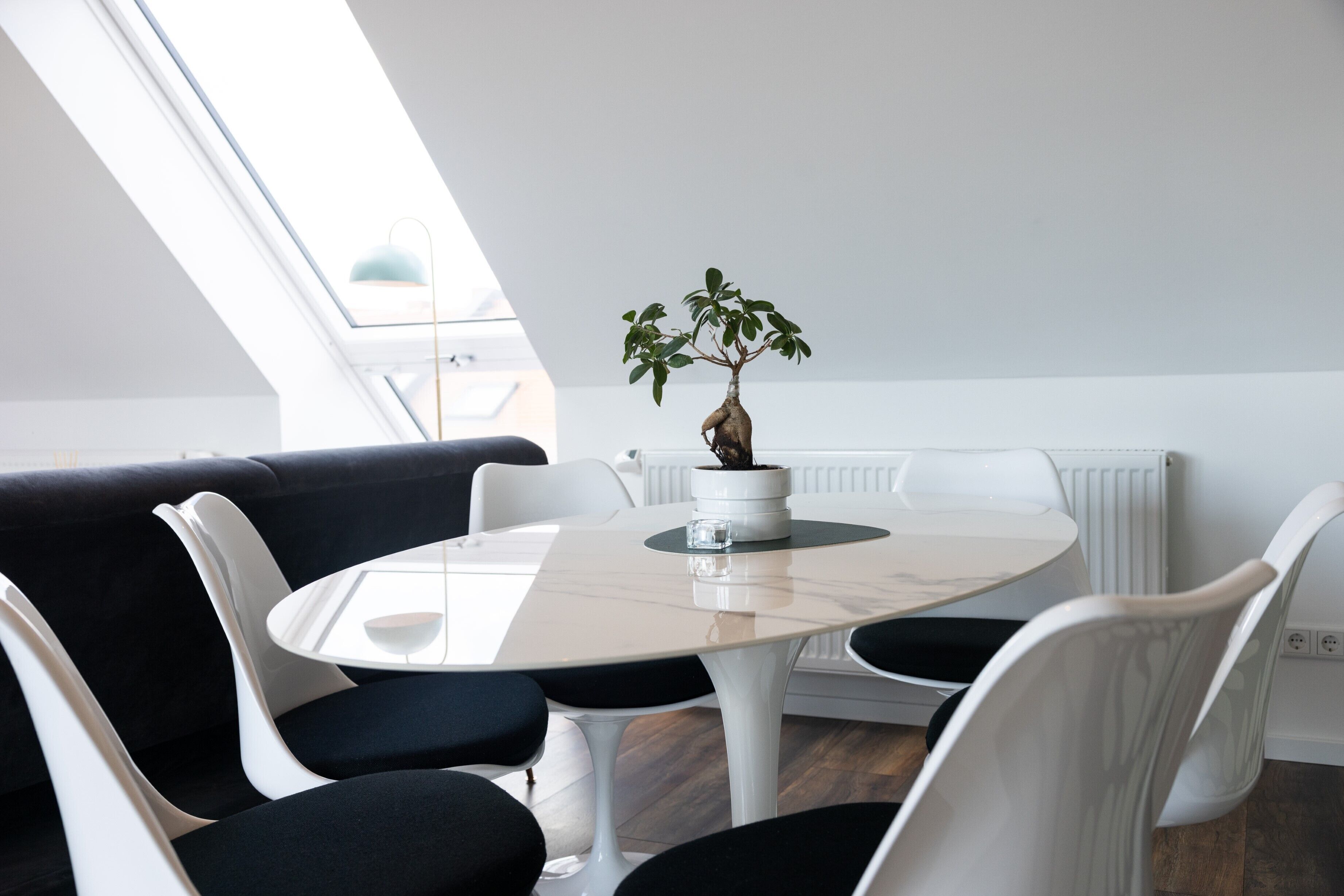 Un espace repas moderne avec une table ronde, des chaises blanches, une plante en pot et une lucarne.