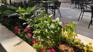 Eine Terrassenanlage im Freien mit Tischen und Sonnenschirmen, umgeben von einem Garten mit verschiedenen Pflanzen und Blumen.
