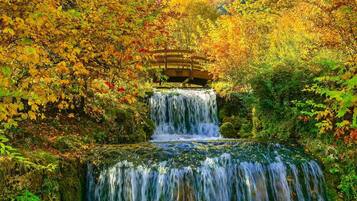 Una cascata con un ponte di legno in una zona boscosa.