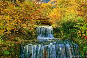 Una cascada con un puente de madera en un área boscosa.