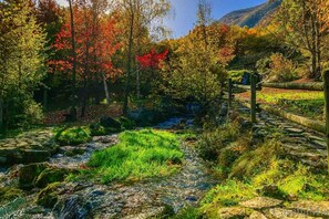 Un puente de piedra sobre un arroyo en una zona boscosa con follaje otoñal.