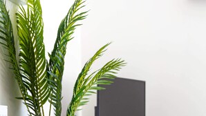 Une pièce avec une grande plante en pot, un téléviseur posé sur un support en métal noir et un radiateur blanc.
