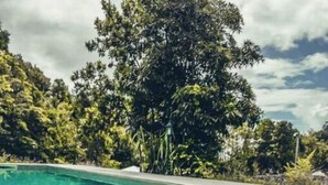A poolside area with a woven bag, sunglasses, and a bottle on the deck. - Domes Azalia (Angra do Heroísmo)