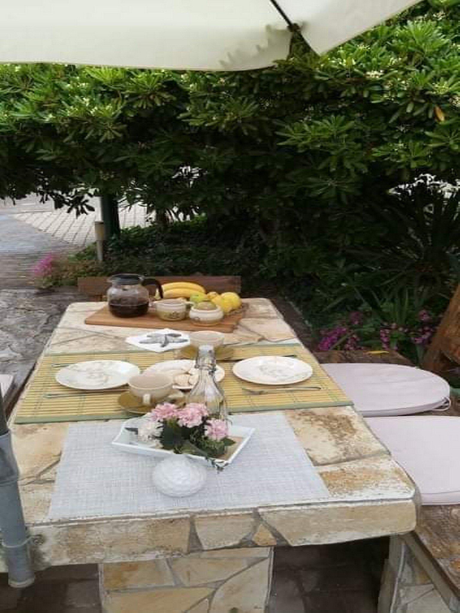 Apartment (One Bedroom Apartment with Balcony) | BBQ/picnic area