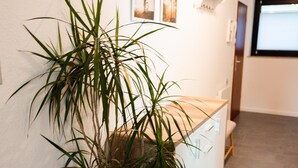 Un espace d’accueil agrémenté d’une plante en pot, d’un comptoir de réception et d’un luminaire fixé au mur.