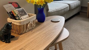 Smart-TV og bøker