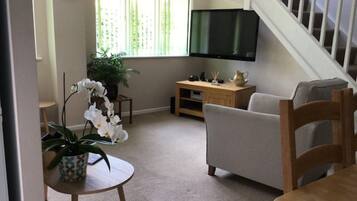 Älytelevisio, kirjoja