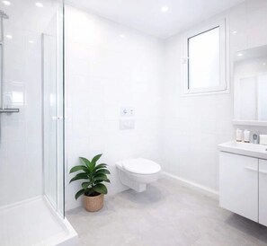 Douche, séchoir à cheveux, serviettes fournies, shampooing