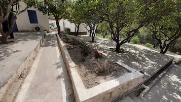 Jardín