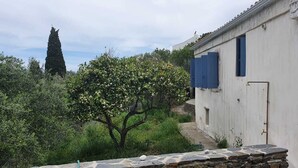 Un edificio blanco con contraventanas azules, rodeado de follaje y un árbol alto.