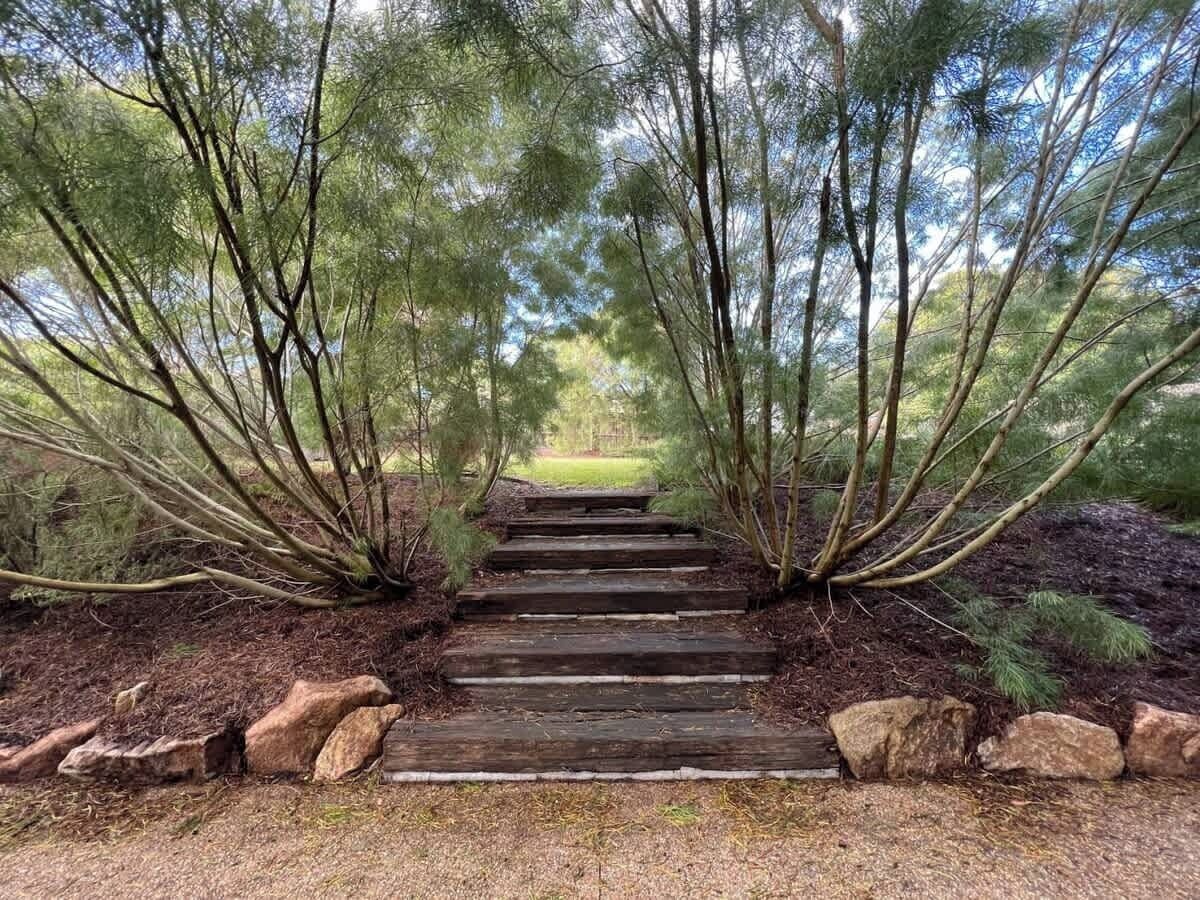 Ein Holzweg, der durch ein bewaldetes Gebiet führt, gesäumt von Bäumen.