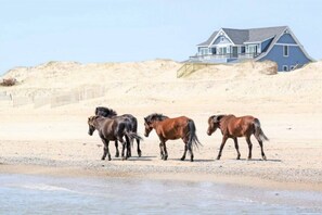 Aan het strand