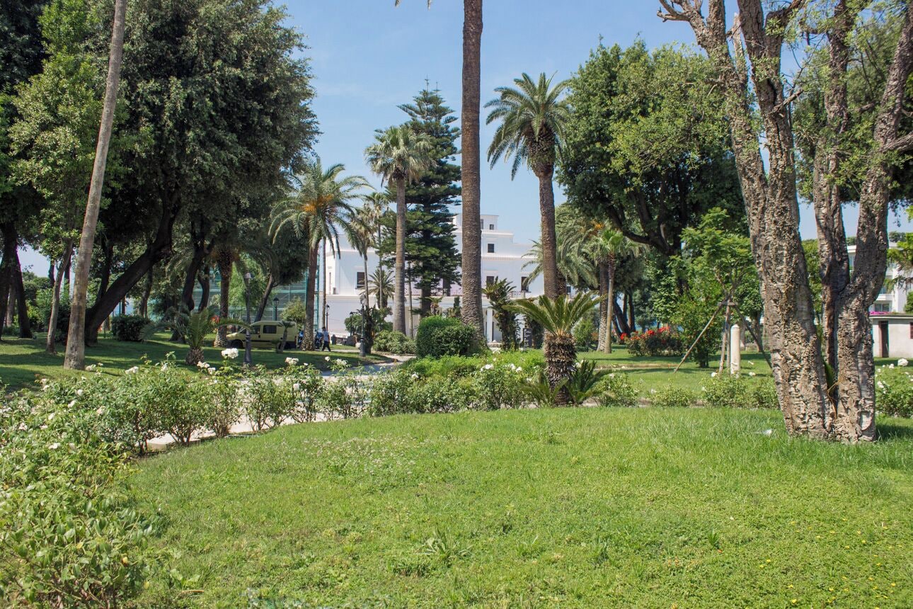 Un jardín exuberante con palmeras y un edificio blanco al fondo.