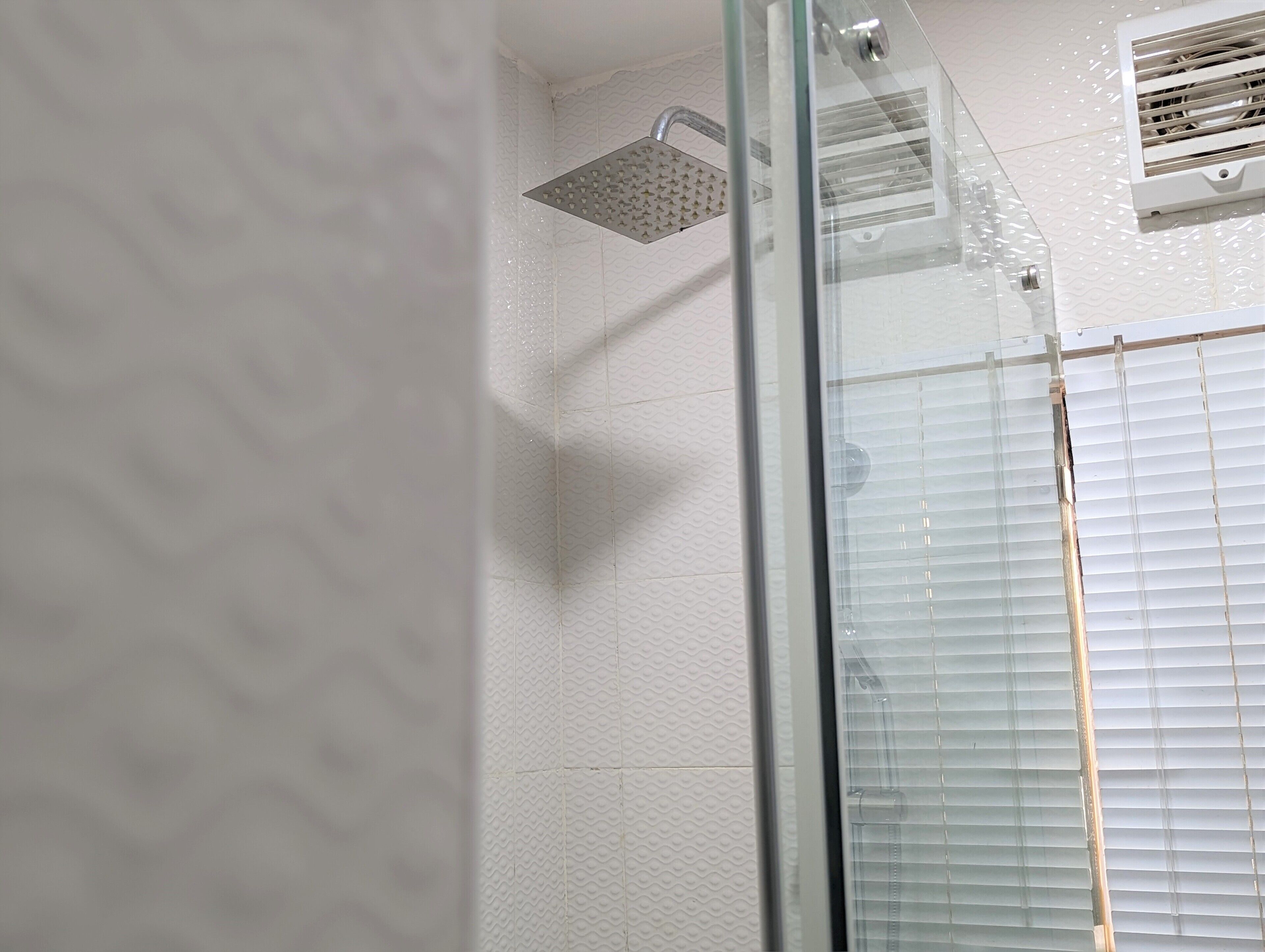 Shower, towels, toilet paper