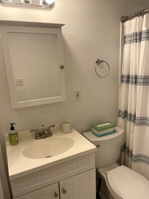 Hair dryer, towels - Lovely Two Bedroom Condo in South Boston (Boston)