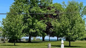 A white picket fence with a grassy area beyond it, a large tree, and a clear blue sky.