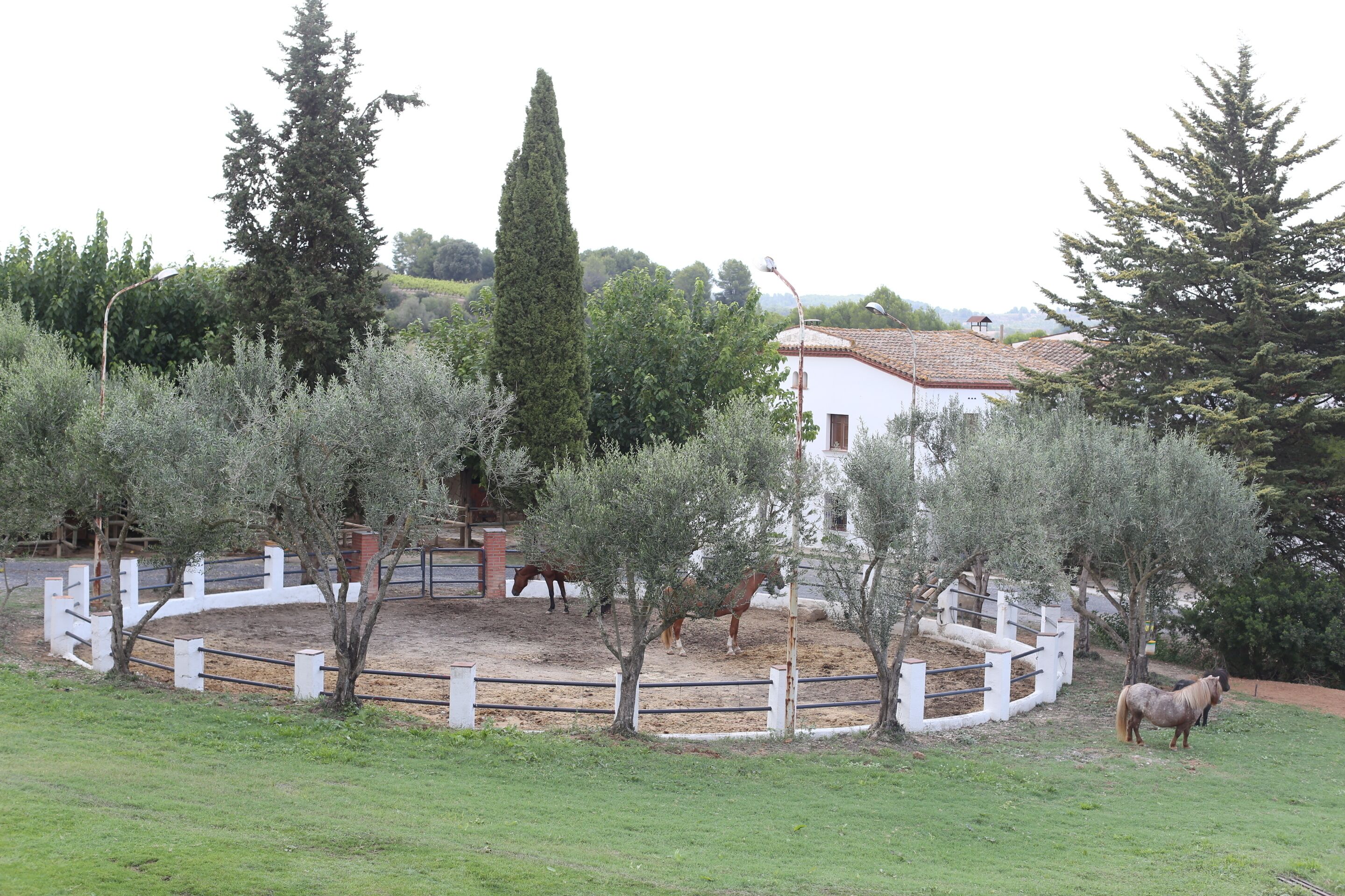 Zona exterior tancada amb arbres i un edifici al fons.