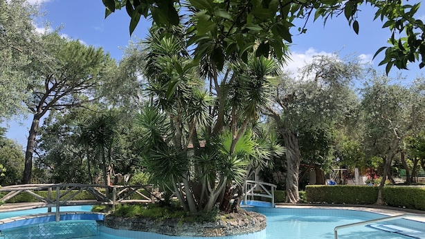 Ein Schwimmbecken, umgeben von üppiger Vegetation und Bäumen.
