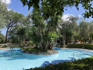 Ein Schwimmbecken, umgeben von üppiger Vegetation und Bäumen.