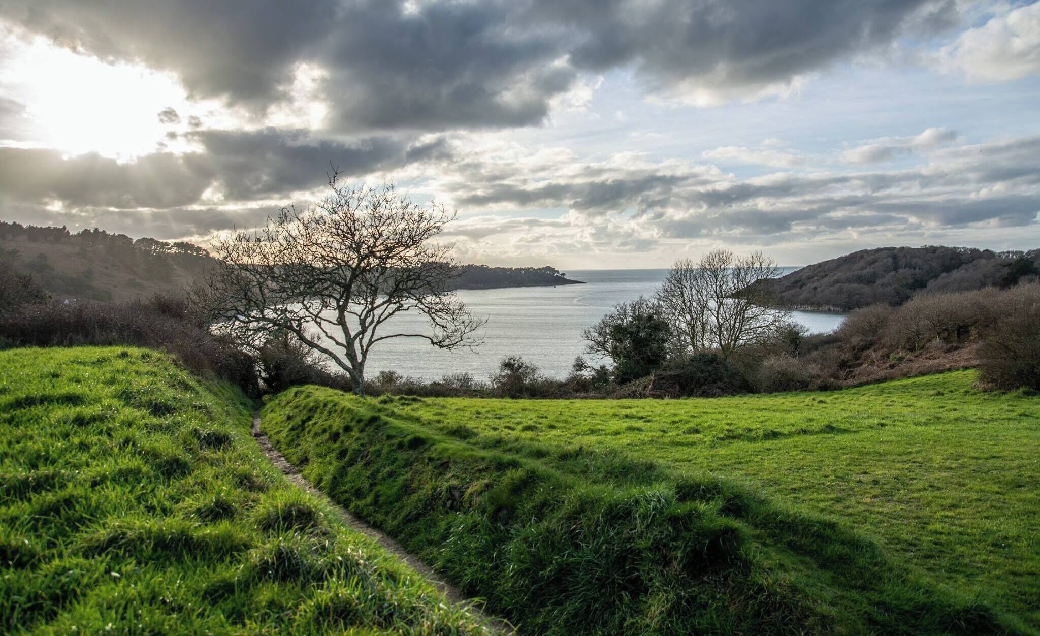 A grassy field with a path leading to a body of water, surrounded by hills and trees.