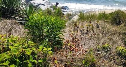 Lookout Cottage- Waterview Home close to Cape Lookout - New to the market 2022!