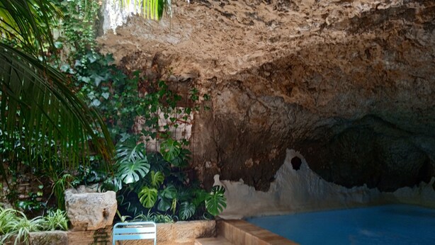 Un espace extérieur avec une piscine, un mur en pierre, une végétation luxuriante et une piscine d’eau bleue.