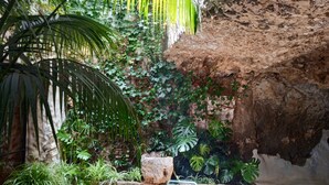 Un jardin intérieur aux murs de pierre, agrémenté de diverses plantes et d’un espace aménagé pour s’asseoir.