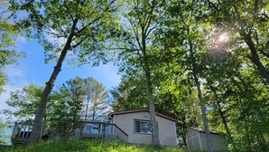 A small, single-story house with a red roof, surrounded by lush greenery and trees. - Beautiful lake side cottage (Hampden)