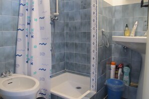 Shower, hair dryer
