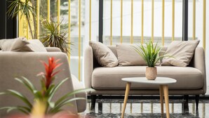 Una sala moderna con un sofá, una mesa de centro y plantas en macetas.