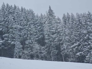Sneeuw- en skisporten